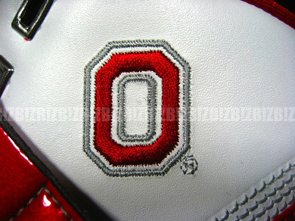 Ohio State University Nike Zoom LeBron V Home PE