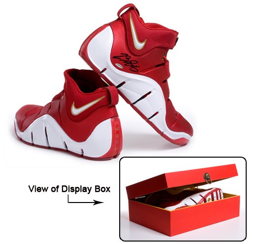 New Nike LeBron memorabilia from Upper Deck
