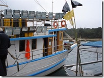 fishing (5)