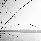 Bleiswijk