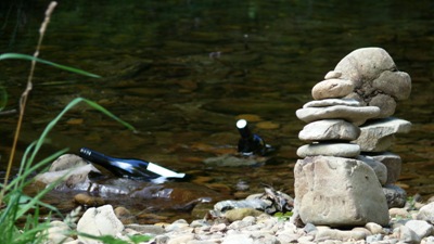 Wine cooling in the river