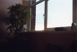 photo 13.jpg