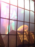 DSCF0589.JPG