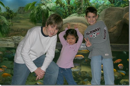 aren't they cute....