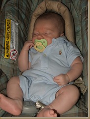 More pics of Abram 001