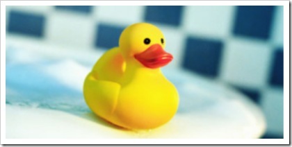 duck-floater