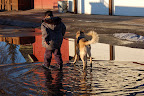 Boy and his dog rippling up their puddle reflection.