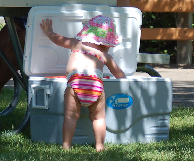 Beach baby getting into the cooler. 