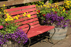 Inviting bench and bright flowers. 