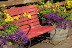 Inviting bench and bright flowers. 