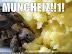 Muncheiz!!1! - from IcanHasCheezburger.com
