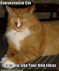 Conservative Cat Does NOT Like Your New Ideas - LOLcats from IcanHasCheezburger.com