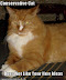 Conservative Cat Does NOT Like Your New Ideas - LOLcats from IcanHasCheezburger.com