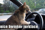 nice bwinker jurkface - LOLcats from IcanHasCheezburger.com