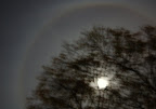 Strange moon halo. Fuzzy out of focus photo, but you can get the idea - by Lisa Callagher Onizuka.