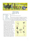 Coop Scoop Winter 2007_Page_1.jpg