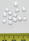 'margarita' flower, clear