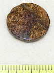 Bronzite coin beads, 30mm, B grade. (Nat