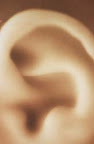 Ears