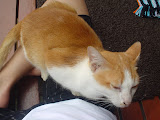 DSC09617.JPG
