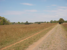 Imgp0572