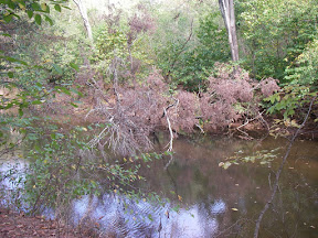 Imgp0584