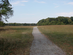 Imgp0589