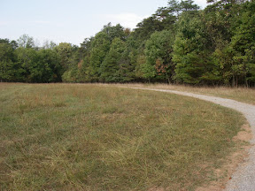 Imgp0590