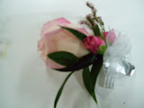 100_0356.JPG