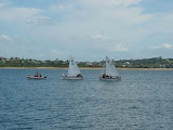 P1010244.jpg