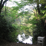 Shinjuku Gyoen National Park in April 2007