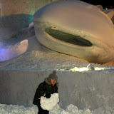 Kai, Look Out for the Whale Shark! This is Kai playing in the snow next to the Okinawa Churaumi Aquarium sculpture. Kai, Look Out for the Whale Shark! This is Kai playing in the snow next to the Okinawa Churaumi Aquarium sculpture.