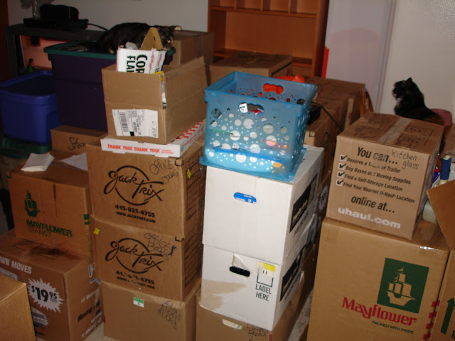 Fucking boxes