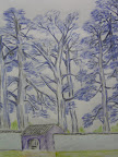 Pict0015