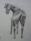 Pict0002