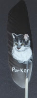 Cat painted on feather