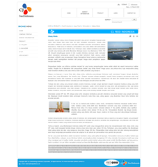 artikel bajakan di cj feed indonesia