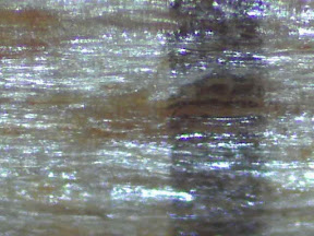 mm scale x200.jpg