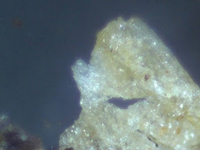 seasoning 4 60x.jpg