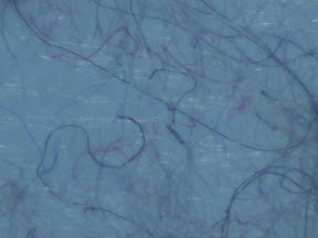 dryer lint 60x.jpg