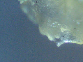 snot  200x.jpg