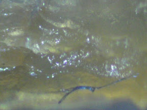 chicken skin 5 200x.jpg
