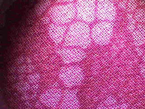 Polyester dress ext woven 10x.jpg