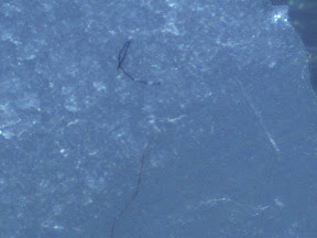 tape arm fibers.jpg
