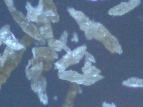 hot shower rubbed skin, rolled fibers 200x.jpg