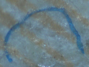 20 bucks blue 200x.jpg
