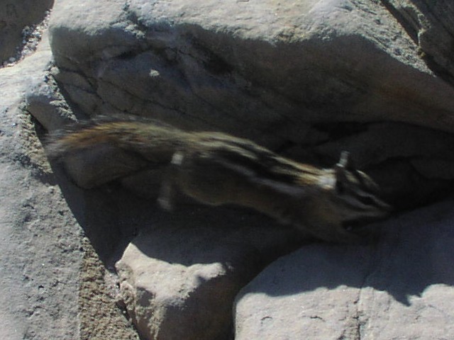 [P6170043.jpg]