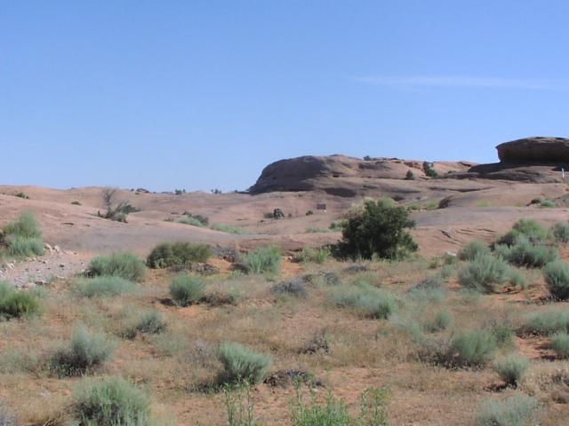 [P6230005.jpg]