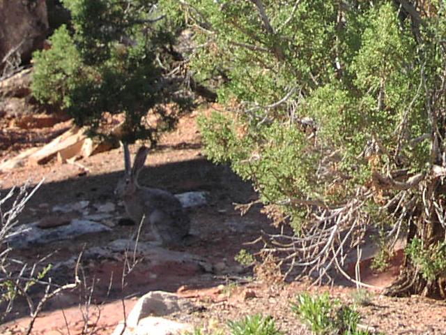 [P6220252.jpg]