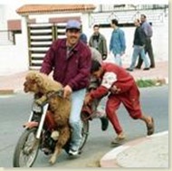 Diferença moto marroquino